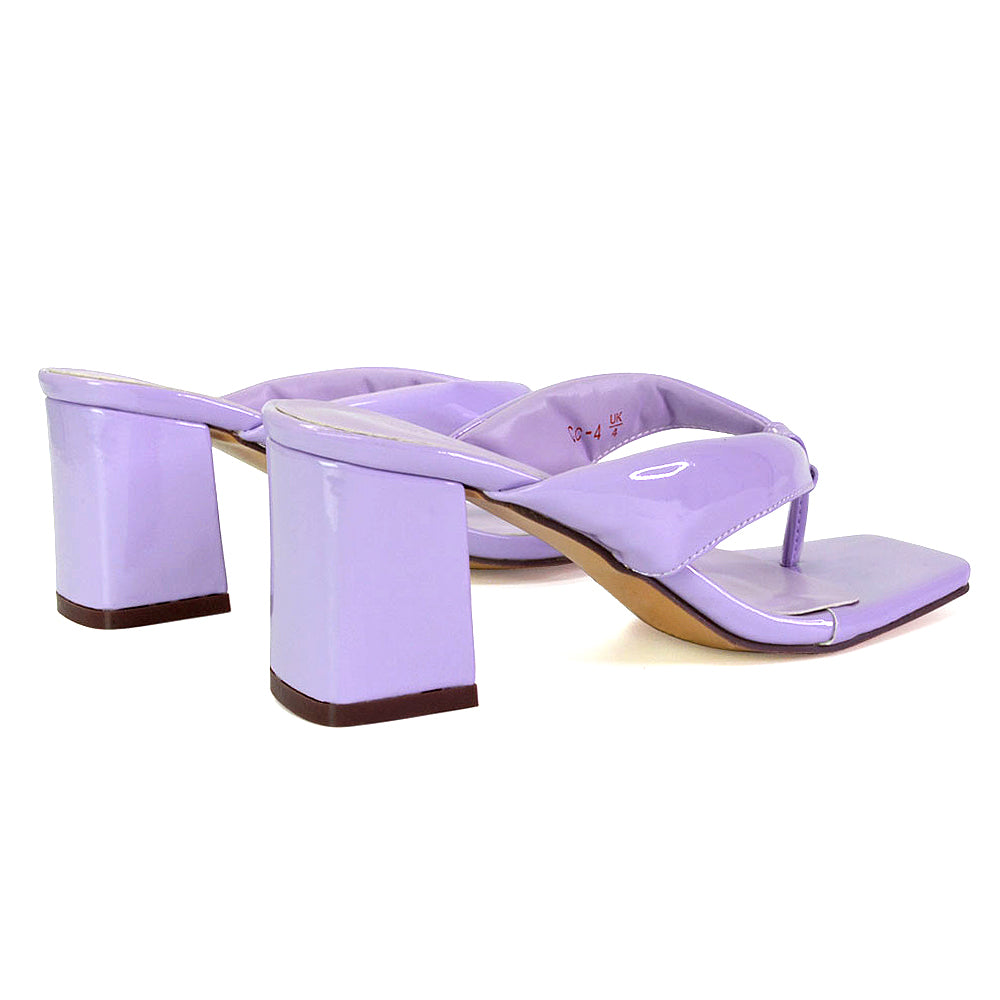 Purple UK 3 | EU 36 | US 5 | XY London