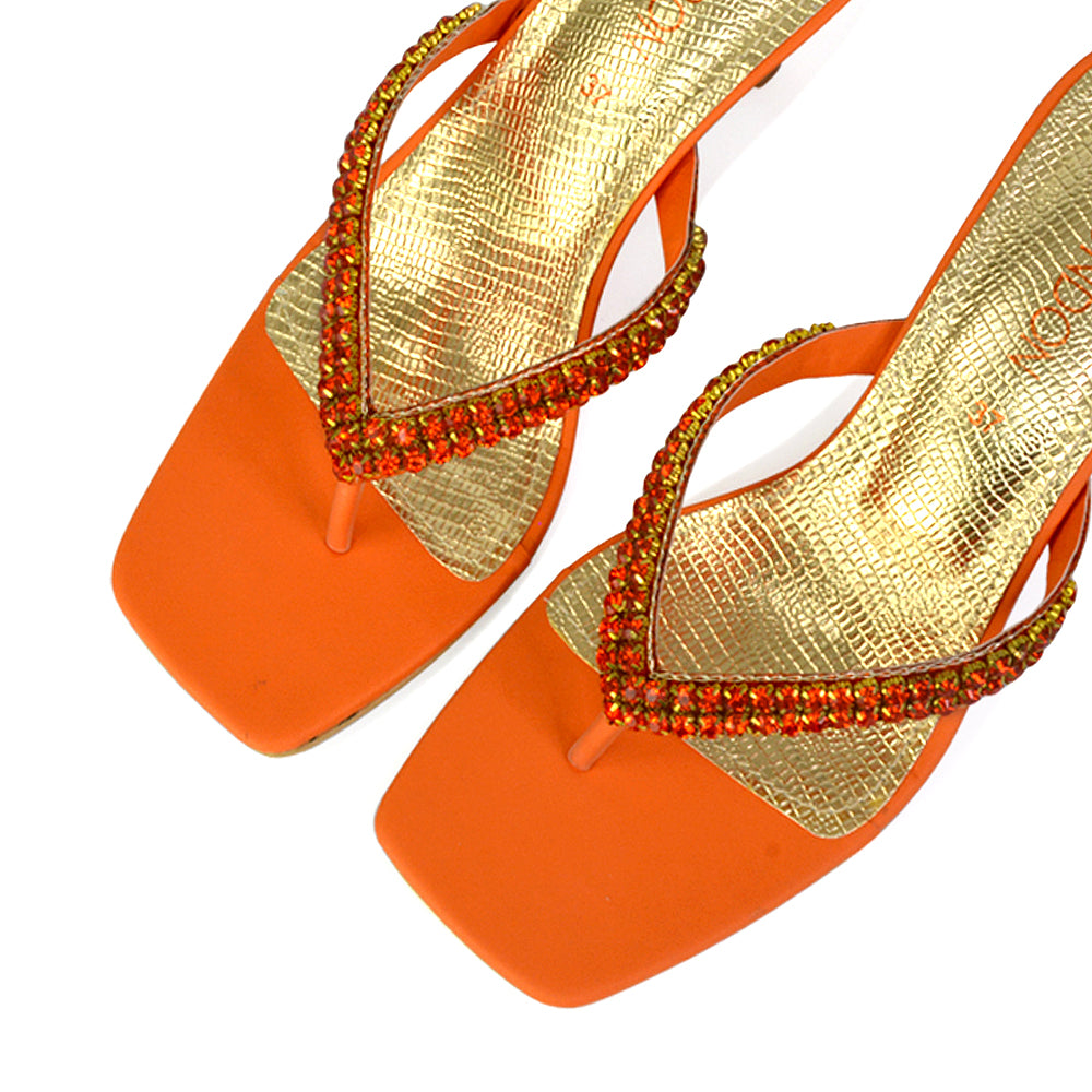 Orange UK 6 | EU 39 | US 8 | XY London