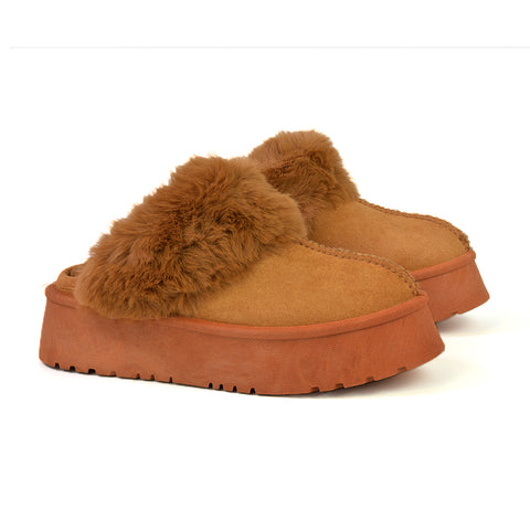Camel UK 7 | EU 40 | US 9 | XY London