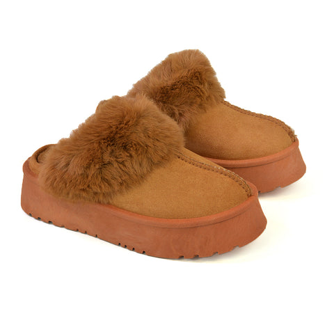 Camel UK 7 | EU 40 | US 9 | XY London